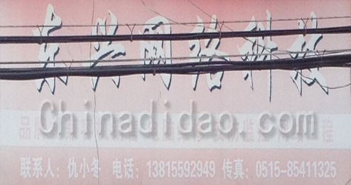 东台市五烈镇广山小街东兴网络科技