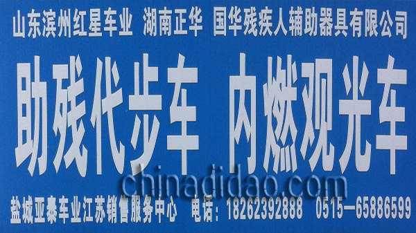助残代步车 内燃观光车