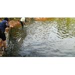 盐城天悦养殖有限公司