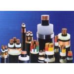 南京路优电缆有限公司东台分公司